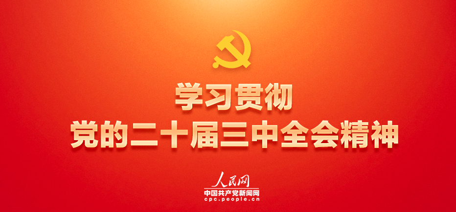 中国共产党新闻网 学习贯彻党的二十届三中全会精神专题